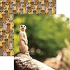Reminisce - King of the Jungle Collection - 12 x 12 Double Sided Paper - Meerkat