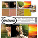 Reminisce - King of the Jungle Collection - 12 x 12 Collection Kit