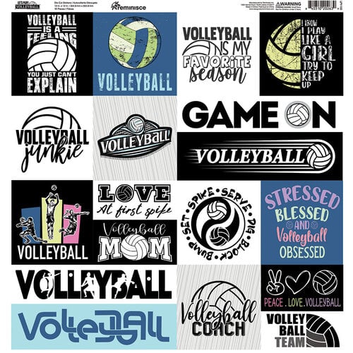 Reminisce - Let's Play Volleyball Collection - 12 x 12 Cardstock Stickers - Elements