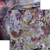 Reminisce - Nature's Textures Collection - 12 x 12 Double Sided Paper - Shades Of Purple