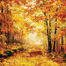 Reminisce - October Roads Collection - 12 x 12 Double Sided Paper - Fall Foliage