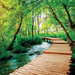 Reminisce - Pathways Collection - 12 x 12 Double Sided Paper - Nature Trek