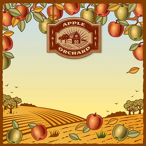 Reminisce - 12 x 12 Paper - Apple Orchard 2