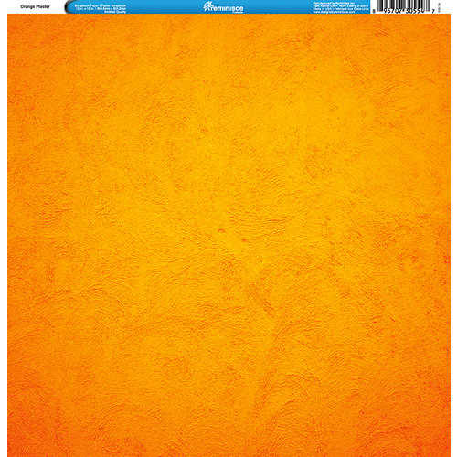 Reminisce - Orange Collection - 12 x 12 Single Sided Paper - Plaster