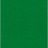 Reminisce - Real Sports Collection - 12 x 12 Velvet Paper - On the Green