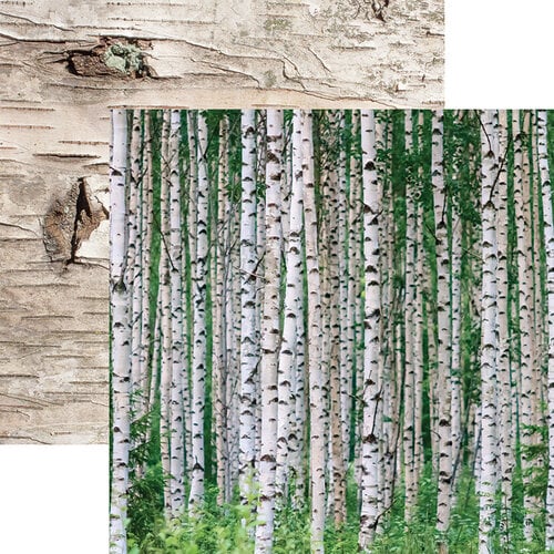 Ella and Viv Paper Company - Scandinavian Woodland Collection - 12 x 12 Double Sided Paper - Birch Wood