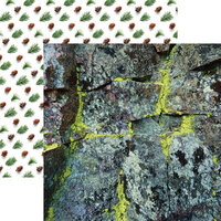 Ella and Viv Paper Company - Scandinavian Woodland Collection - 12 x 12 Double Sided Paper - Mossy Rock