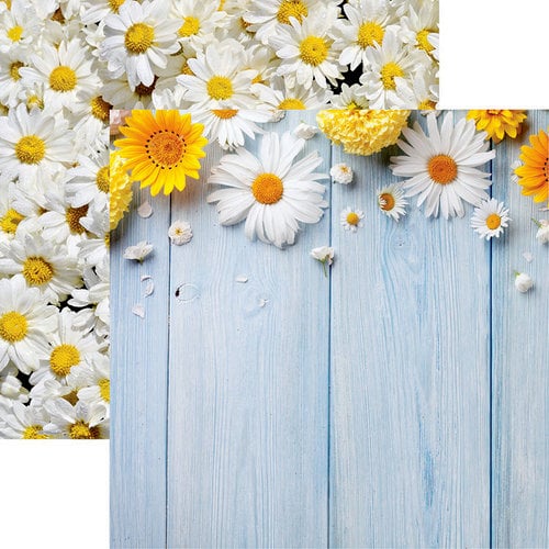 Reminisce - Springtime Collection - 12 x 12 Double Sided Paper - Daisies