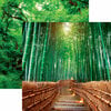 Reminisce - The Journey Beyond Collection - 12 x 12 Double Sided Paper - Bamboo Byway