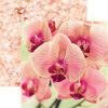 Reminisce - Unwind Collection - 12 x 12 Double Sided Paper - Pink Orchid