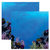 Reminisce - Under The Sea Collection - Seaworld - 12 x 12 Double Sided Paper - Coral Reef