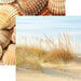 Reminisce - Vitamin Sea Collection - 12 x 12 Double Sided Paper - Beachgrass