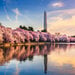 Reminisce - Washington DC Collection - 12 x 12 Double Sided Paper - Washington Monument
