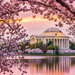 Reminisce - Washington DC Collection - 12 x 12 Double Sided Paper - Jefferson Monument