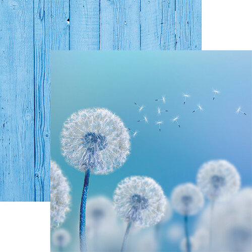 Dandelion research paper image
