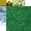 Reminisce - Wildflower Collection - 12 x 12 Double Sided Paper - Wall of Ivy