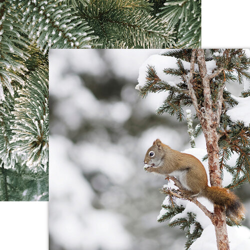 Reminisce - Winter Canvas Collection - 12 x 12 Double Sided Paper - Red Squirrel