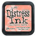 Ranger Ink - Tim Holtz - Distress Ink Pad - Saltwater Taffy