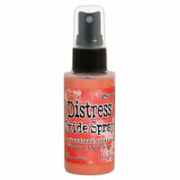 Ranger Ink - Tim Holtz - Distress Oxides Spray - Abandoned Coral