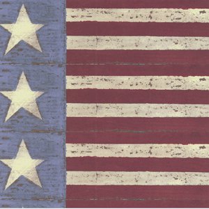 Rusty Pickle Patterned Paper - Stars and Stripes