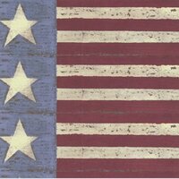 Rusty Pickle Patterned Paper - Stars and Stripes