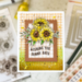 Scrapbook.com - Vintage Fall Bundle - Dies and Stamps