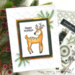 Scrapbook.com - Winter Wishes and Spruce Bundle - Dies, Paper, Stamp