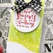 Scrapbook.com - Clear Photopolymer Stamp Set - Slimline Christmas Foliage