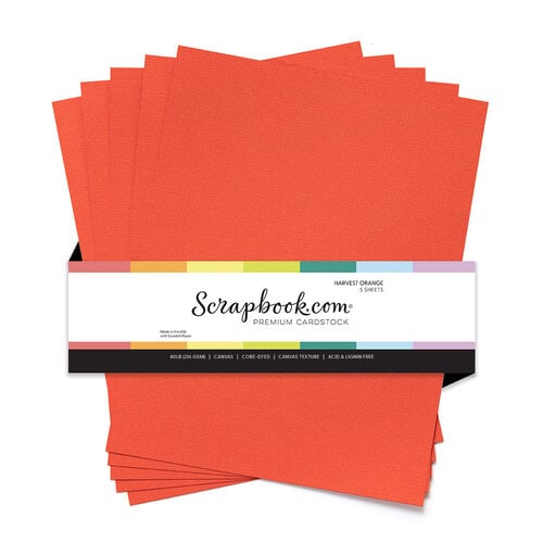 Scrapbook.com - 8.5 x 11 Premium Canvas Cardstock - Textured - 80lb - Harvest Orange - 5 Sheets Scrapbook.com - 8.5 x 11 Premium Canvas Cardstock - Textured - 80lb - Harvest Orange - 5 Sheets