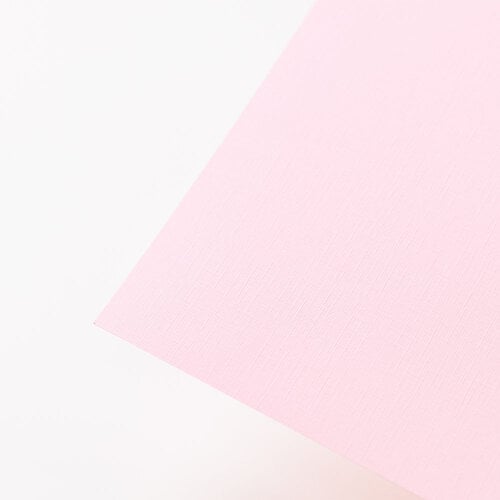 Scrapbook.com - 8.5 x 11 Premium Canvas Cardstock - Textured - 80lb - Pale Blossom - 5 Sheets