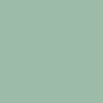 Scrapbook.com - 12x12 Premium Heavyweight Cardstock - Smooth - 100lb - Celery - 1 Sheet