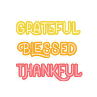 image of Scrapbook.com - Decorative Die Set - Grateful Thankful Blessed