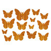 Studio Calico - Countryside Collection - Rub Ons - Butterfly - Wood