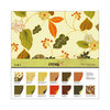 SEI - Entrada Collection - 12 x 12 Assortment Pack