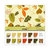 SEI - Entrada Collection - 12 x 12 Assortment Pack
