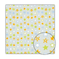 Sassafras Lass - 12x12 Paper - Playtime - Far Out, CLEARANCE