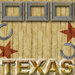 Scrapbook Customs - United States Collection - Texas - 12 x 12 Paper - Wood