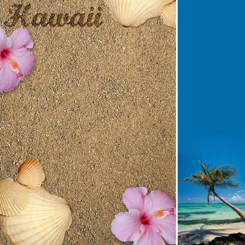 Scrapbook Customs - United States Collection - Hawaii - 12 x 12 Paper