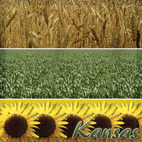Scrapbook Customs - United States Collection - Kansas - 12 x 12 Paper