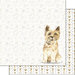 Scrapbook Customs - 12 x 12 Double Sided Paper - Cairn Terrier Watercolor