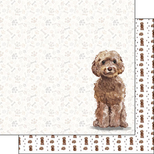 Scrapbook Customs - 12 x 12 Double Sided Paper - Cockapoo Brown Watercolor