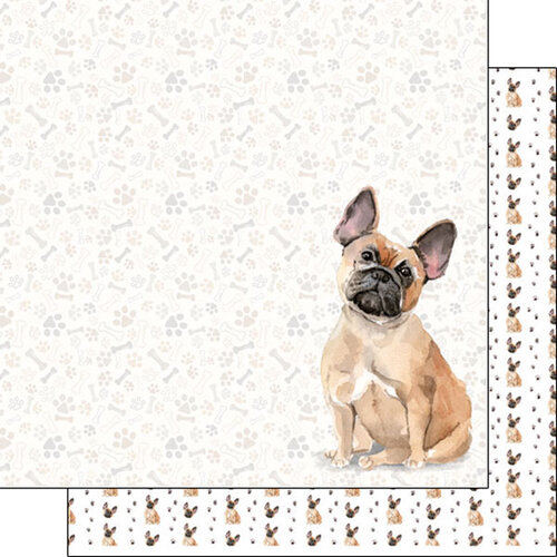 Scrapbook Customs - 12 x 12 Double Sided Paper - French Bulldog Tan Watercolor