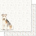 Scrapbook Customs - 12 x 12 Double Sided Paper - Lakeland Terrier Watercolor