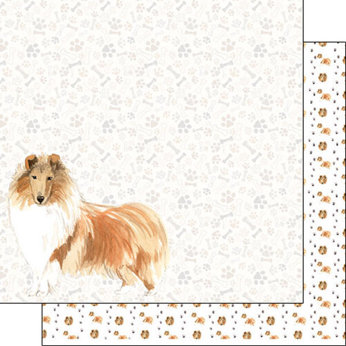Scrapbook Customs - 12 x 12 Double Sided Paper - Rough Collie Watercolor