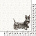 Scrapbook Customs - 12 x 12 Double Sided Paper - Scottish Terrier Watercolor