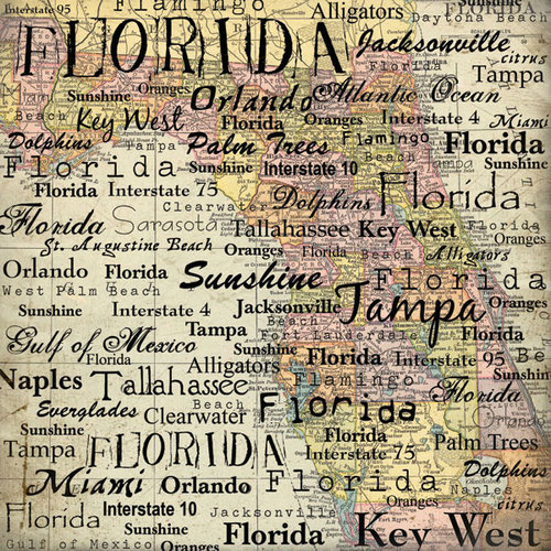 Scrapbook Customs - United States Collection - Florida - 12 x 12 Paper - Map