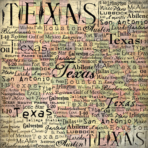 Scrapbook Customs - United States Collection - 12 x 12 Single Sided Paper - Texas Map 02