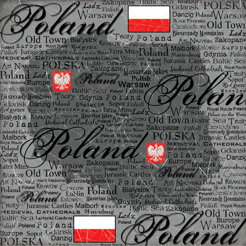 Scrapbook Customs - World Collection - Poland - 12 x 12 Paper - Scratchy