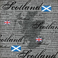 Scrapbook Customs - World Collection - Scotland - 12 x 12 Paper - Scratchy