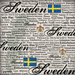 Scrapbook Customs - World Collection - Sweden - 12 x 12 Paper - Scratchy